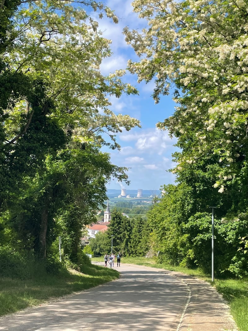 Marche à Malling - Malling