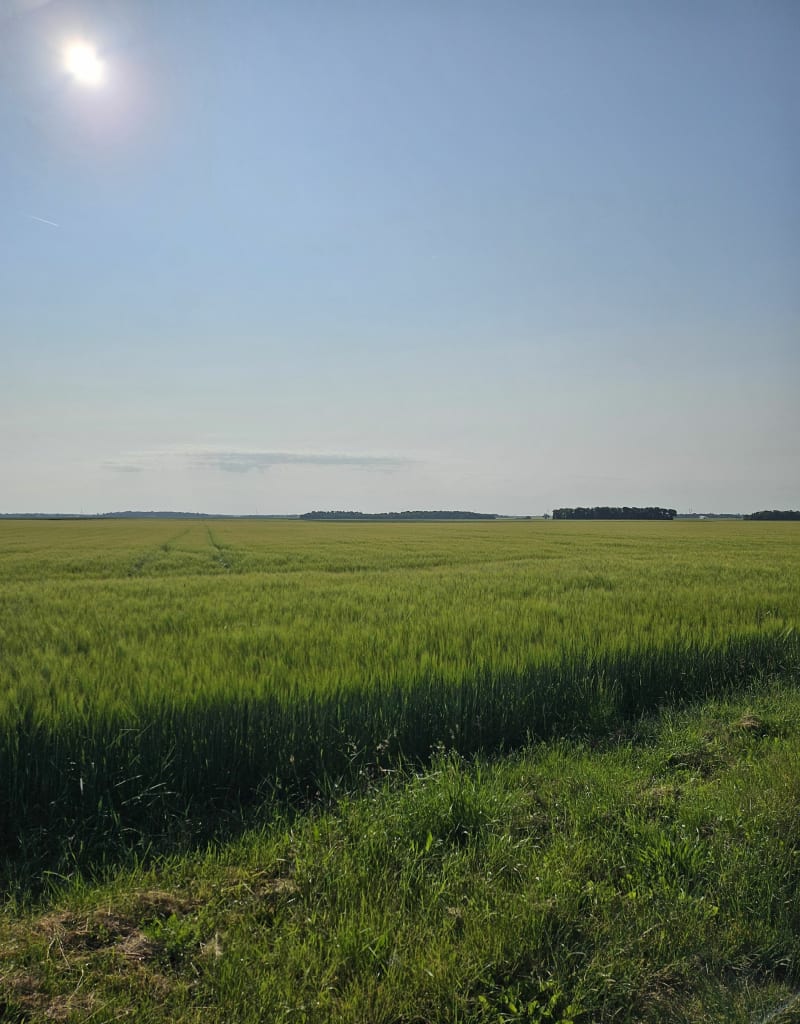 Balade entre Authon La Plaine et Saint Escobille - Authon-la-Plaine