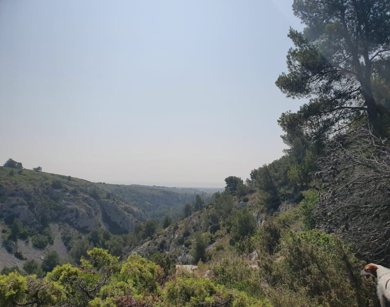 Sentiers par la Route Verte - Gruissan