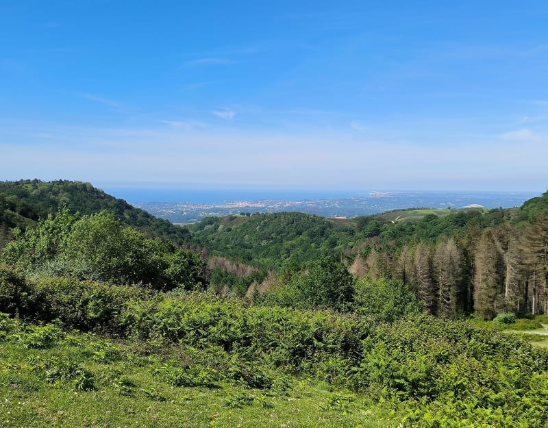 Le col d'Ibardin depuis Herburu - Urrugne