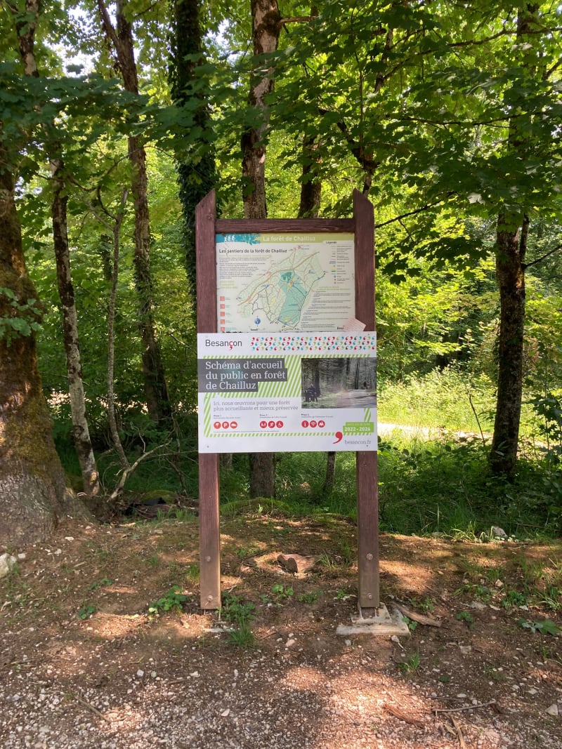 Petites baraques dans la forêt de Chailluz - Besançon