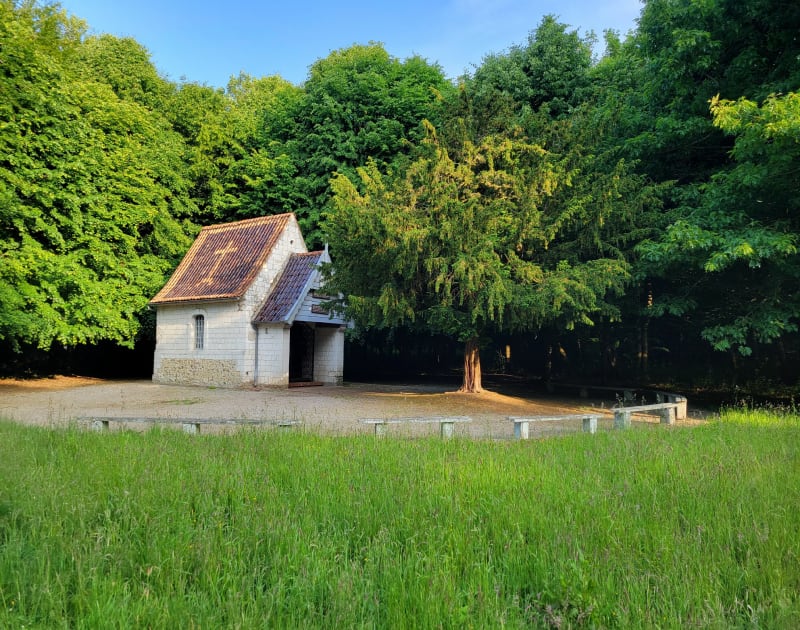 Promenade dans les bois de Tournehem - Tournehem-sur-la-Hem