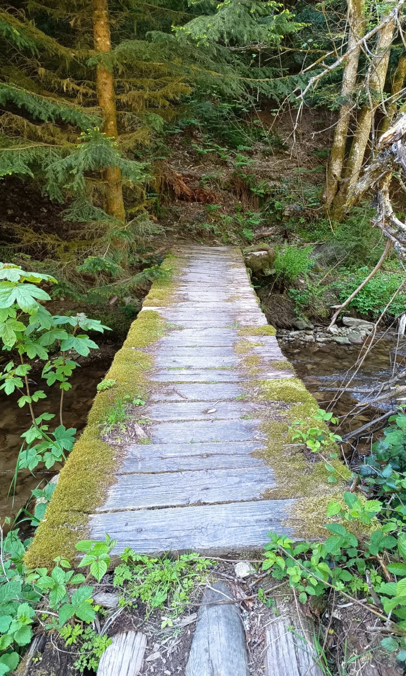 Rando Pont Souvignet - Tarentaise