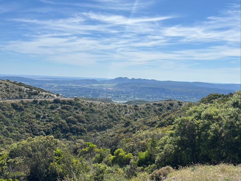 Forêt des cèdres et Mourre de Cairas - Bonnieux