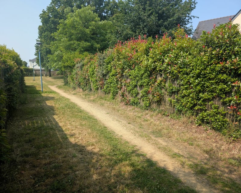 Boucle tranquille en bords de Loire - Thouaré-sur-Loire
