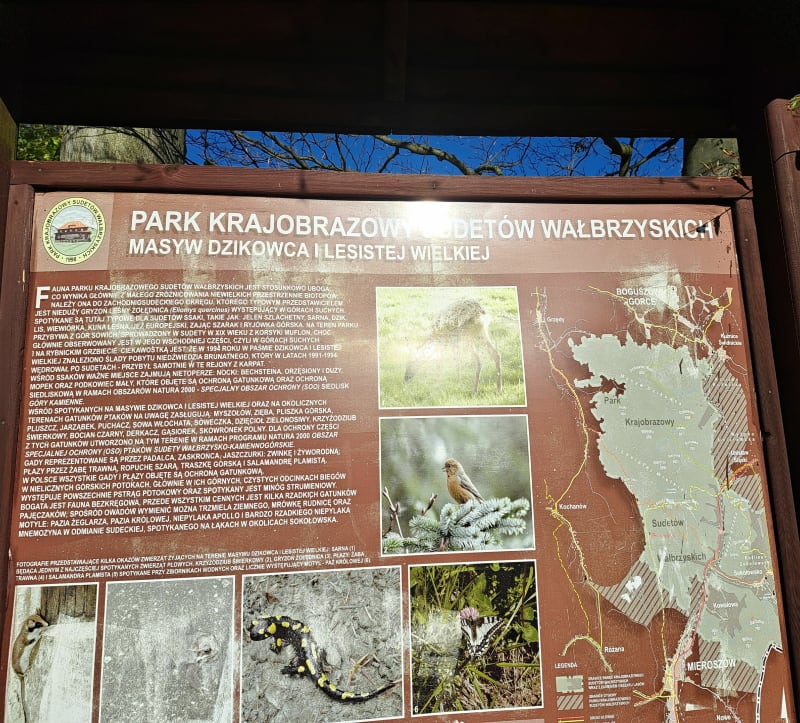 Szlak z Kowalowej na lesista Wielką - Kowalowa