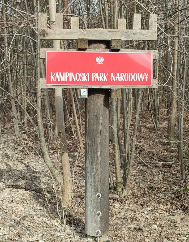 Lekkie 51 km - Józefów
