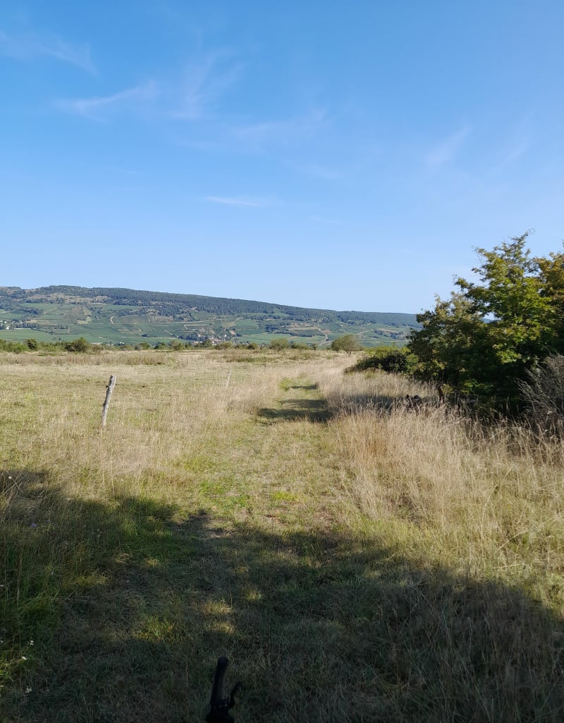 Ptit tour en Côte Chalonnaise, 35km, +950m depuis Mercurey - Mercurey