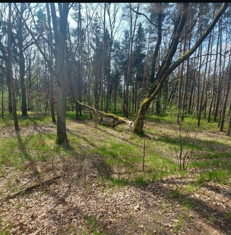 Spacer po Janowie - Mysłowice