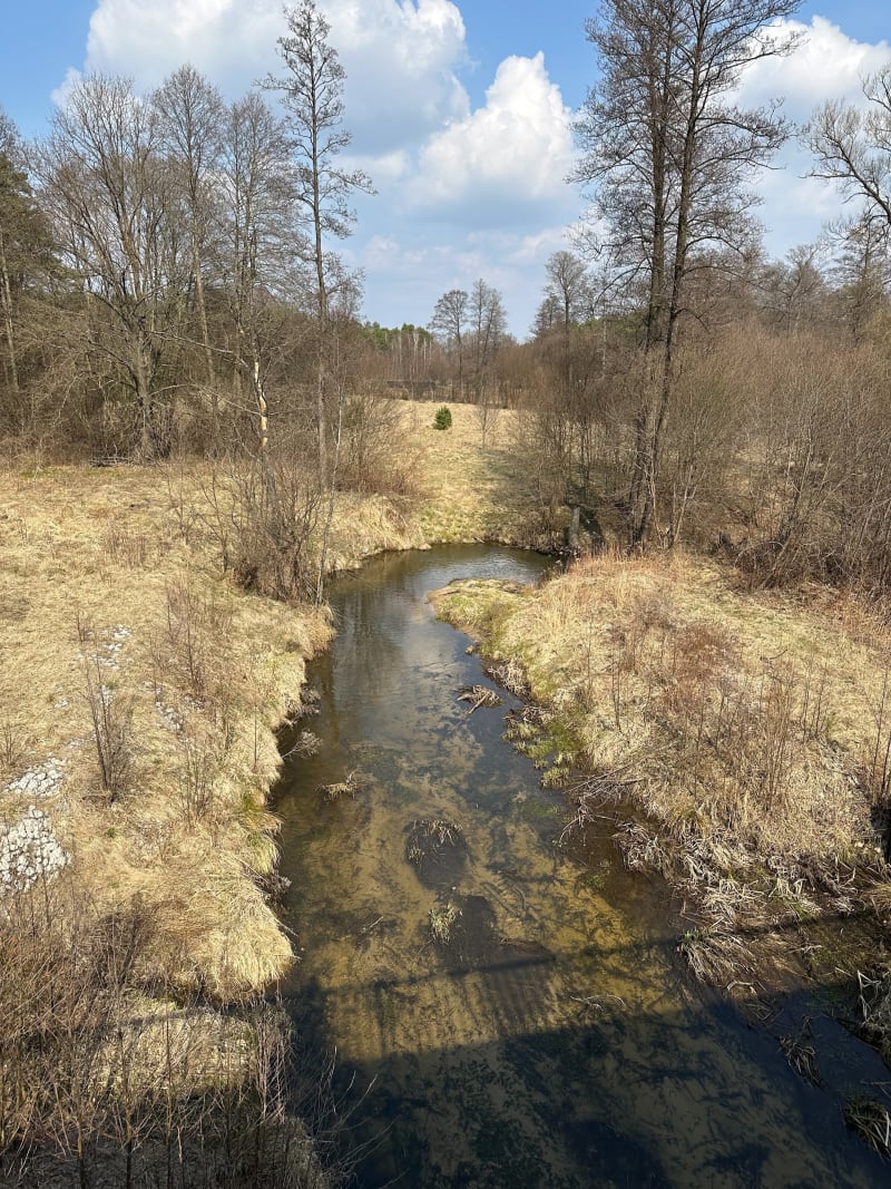 Wyjazd nad Zalew w Sukowie - Kielce
