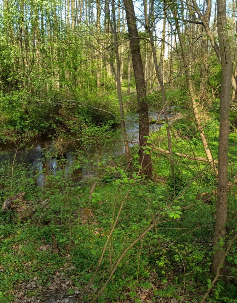 Wokół Miłosnej - Kwidzyn