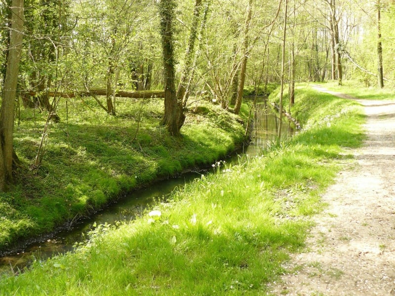 Petite randonnée avec peu de route à Gallardon - Gallardon