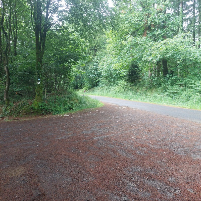 Promenade en forêt de Saint-Sever - Noues de Sienne