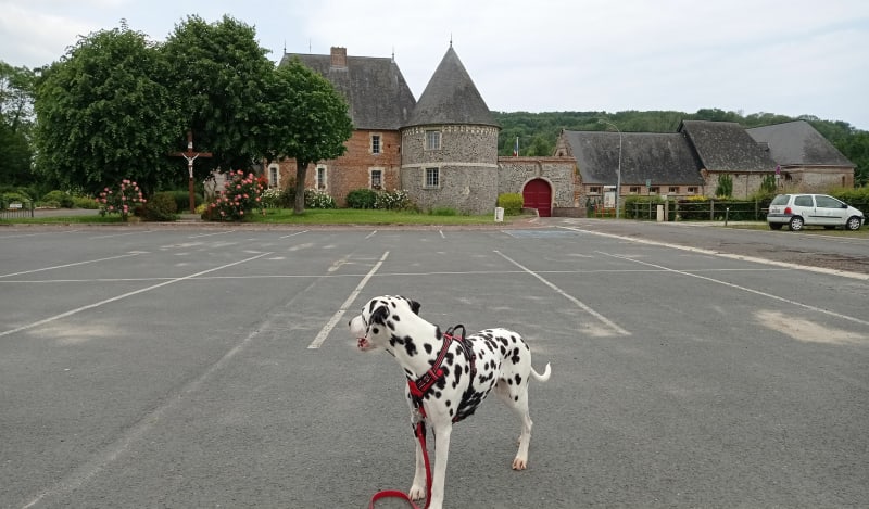Boucle à Criel-sur-Mer - Criel-sur-Mer