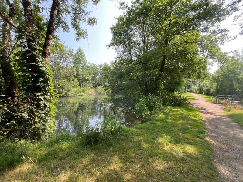 Balade à Chauray le long de la Sèvre - Chauray