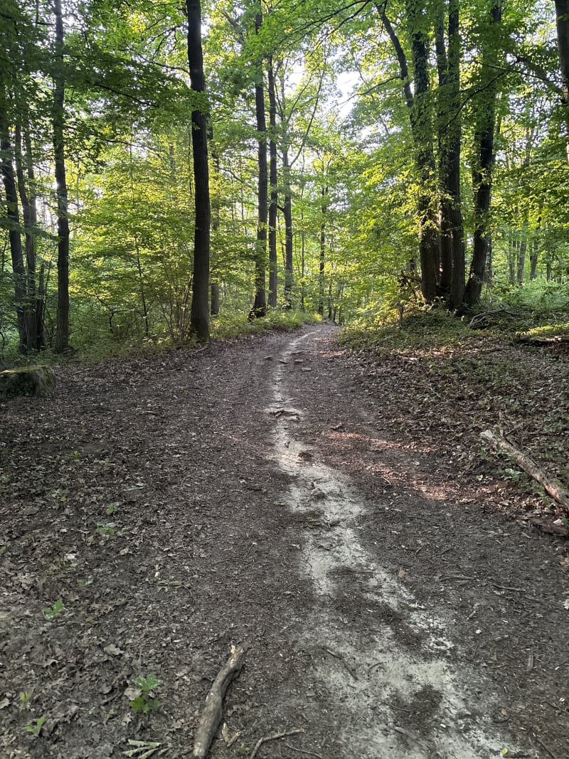 Chemin tortueux à Moussy-le-Vieux - Moussy-le-Vieux