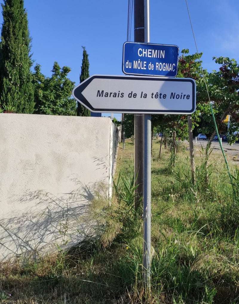 Tour de l'étang de Berre cyclisme - Rognac