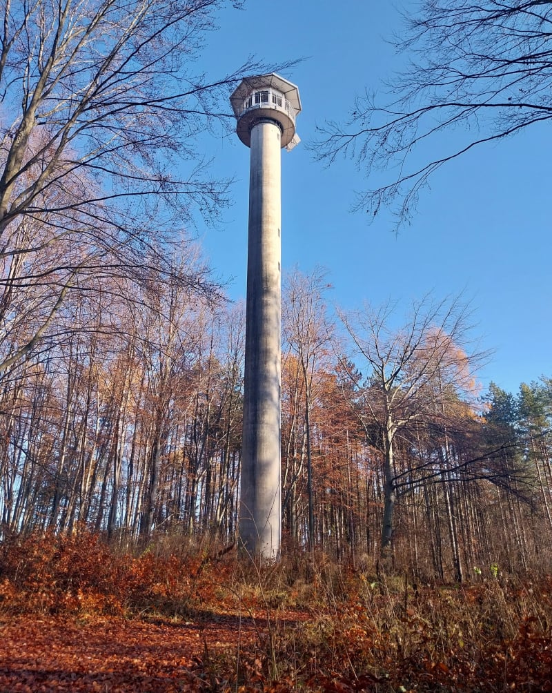 Korzeniec las bukowy + wieża - Jaworzno