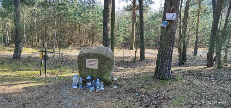 Na poznańskie Rataje - Czapury