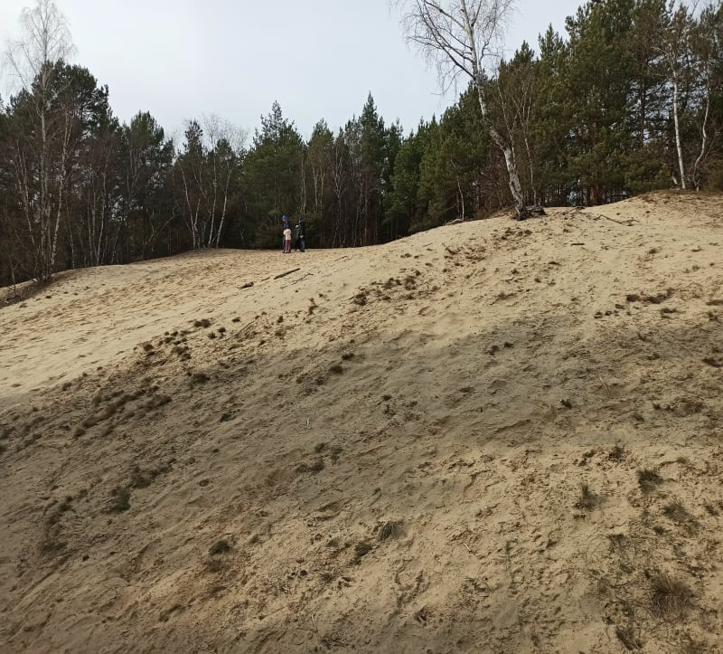 Niedziela trekingowa wokół komina - Józefów