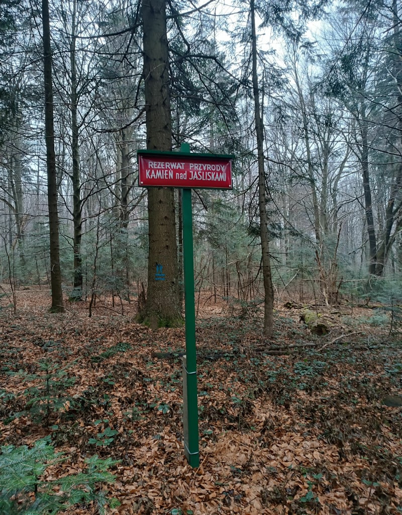 Wyjście na Kamień (zwany Bieszczadem) - Lipowiec
