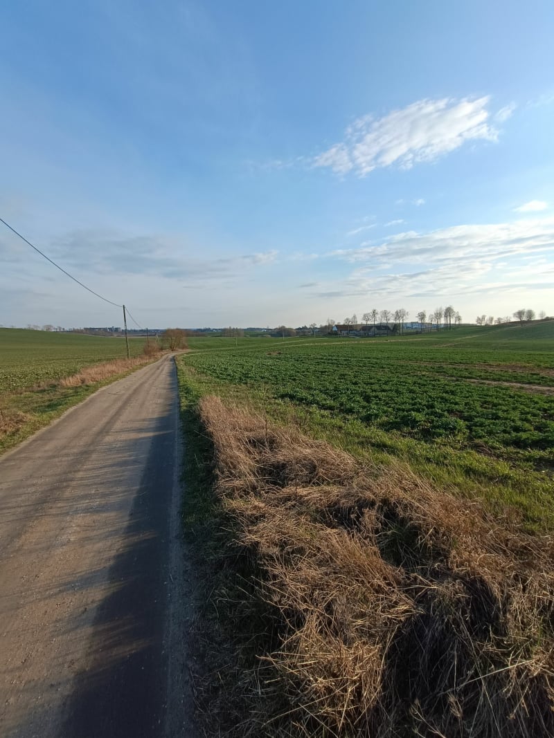 Okolice Kętrzyna spacerek 10 km - Kętrzyn