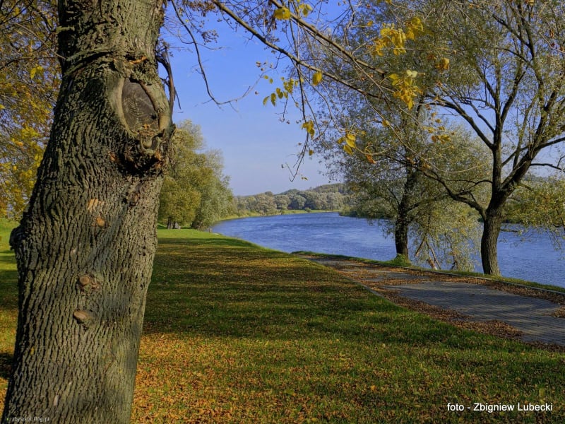 Obwodnica - Dynów