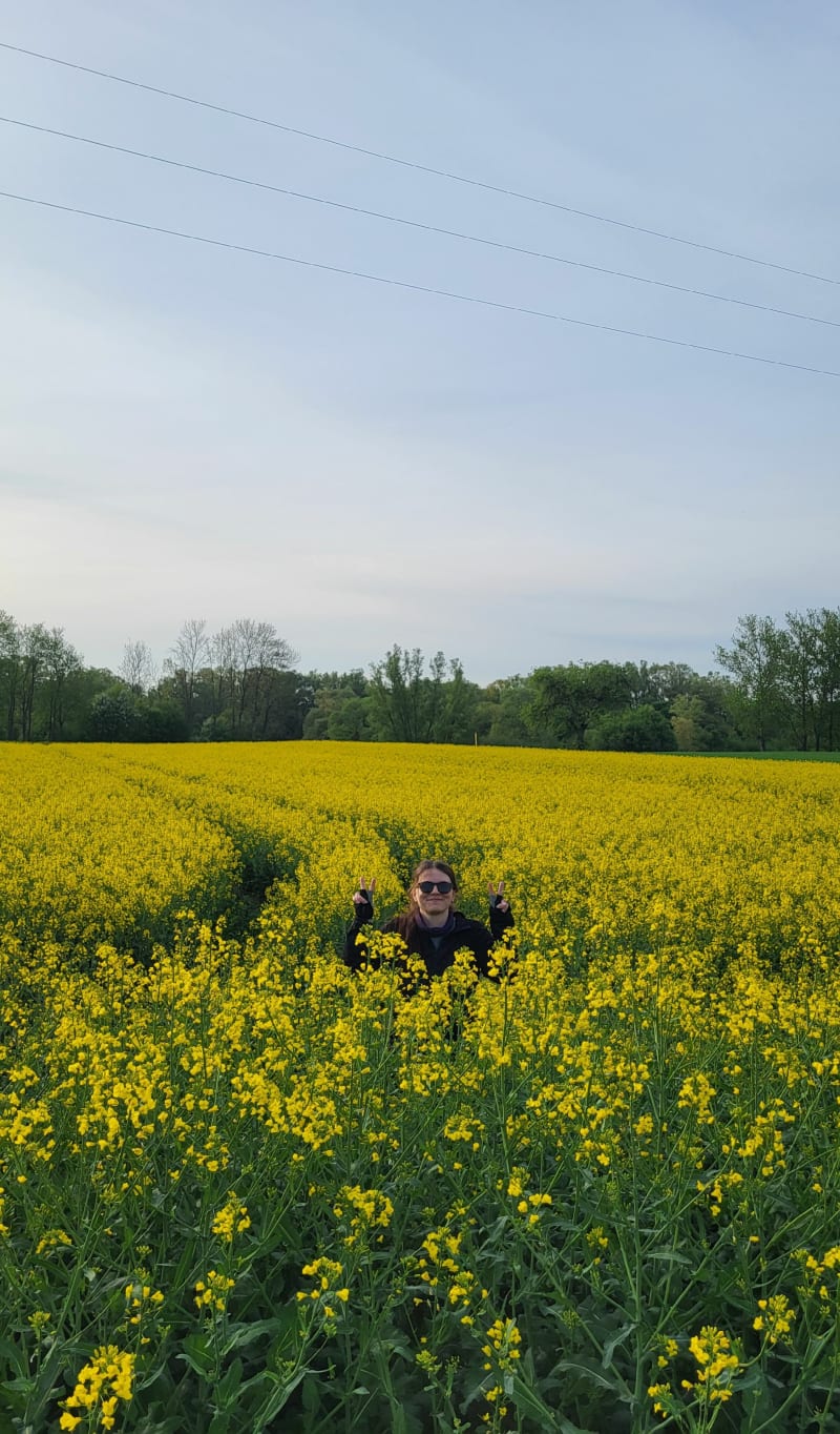 Wieża widokowa na Brzance - Tuchów