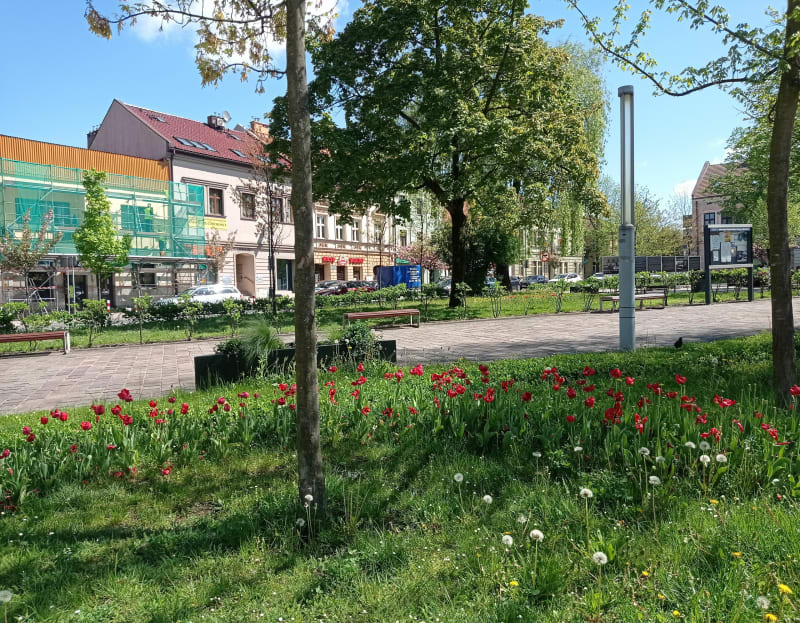 Skawina centrum do Radziszów Centrum wzdłuż Skawinki - Skawina