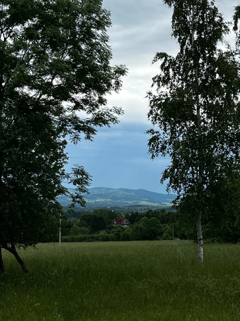 Polanica - Zieleniec - Polanica-Zdrój