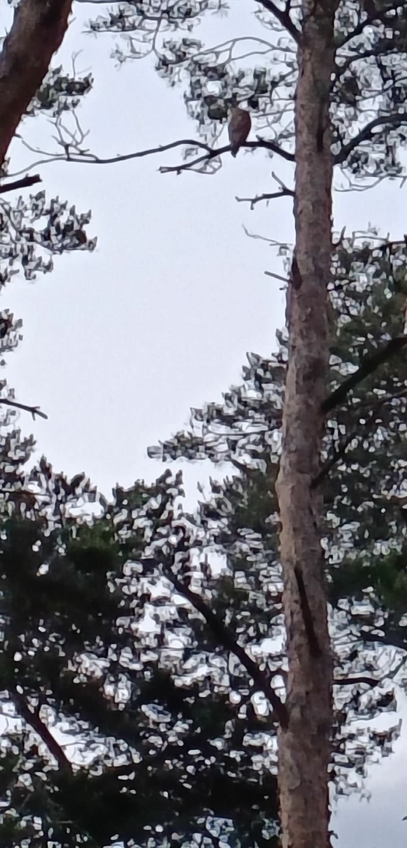 Polecam spokojna okolica - Występ