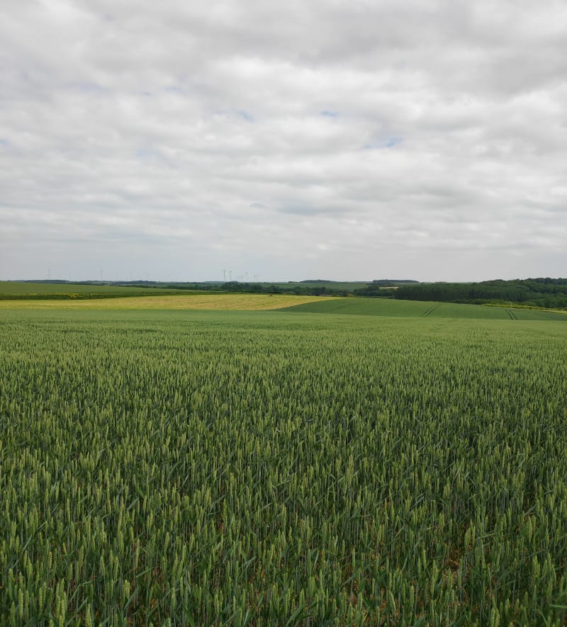 Rando VTT à travers champs depuis Marcelcave - Villers-Bretonneux