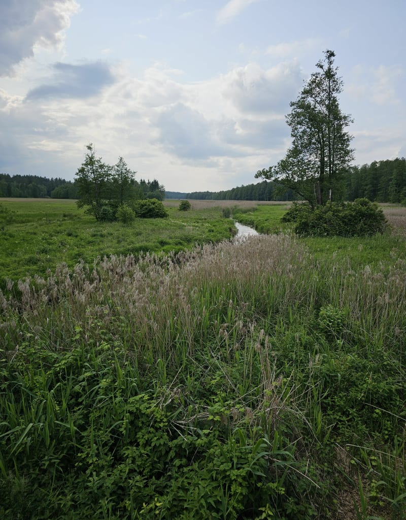 Trasa Supraśl - Królowy Most - Supraśl