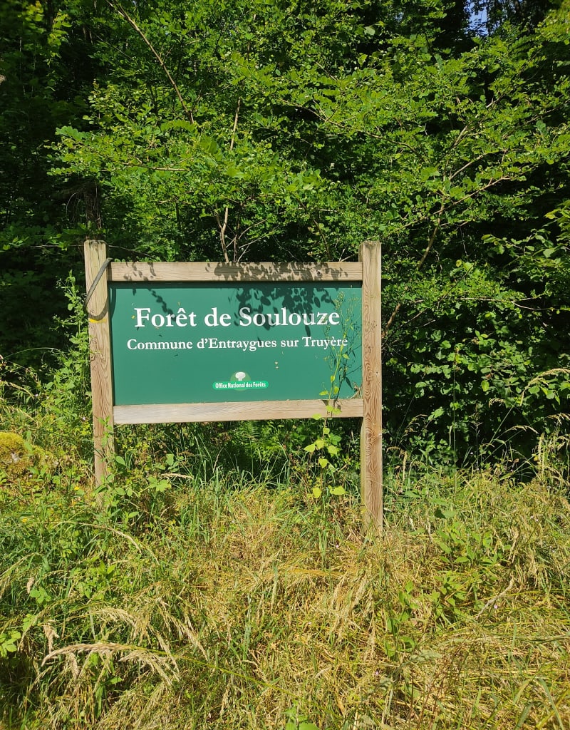 Randonnée en forêt de Soulouze - Entraygues-sur-Truyère