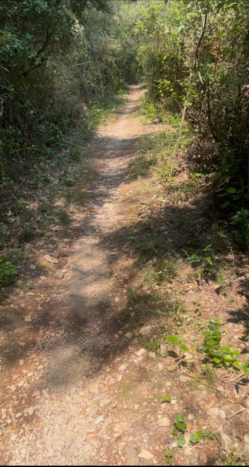 Parcours dans les bois Beauvoisin/Vauvert - Beauvoisin