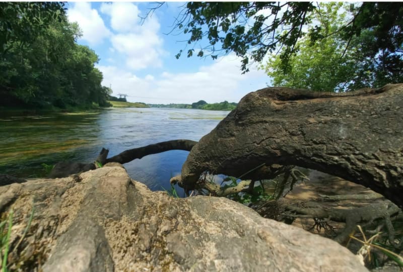 Entre le Val-de-Loire et la Sologne - Marcilly-en-Villette