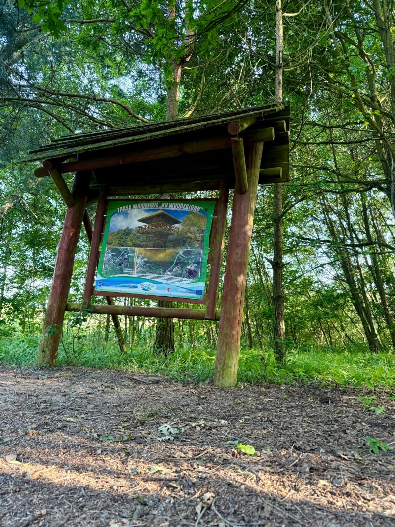 Puszcza Wkrzańska - punkt widokowy - Szczecin