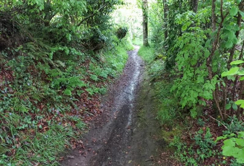 Plouvien - Chemins roulants et passages plus techniques - Plouvien
