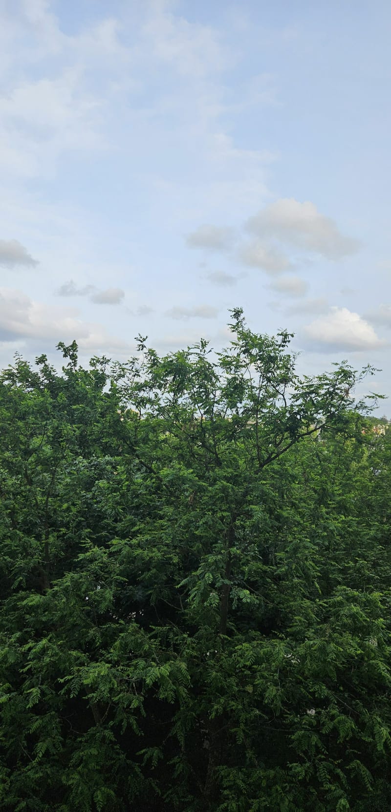 Spacerek po balutach - Łódź