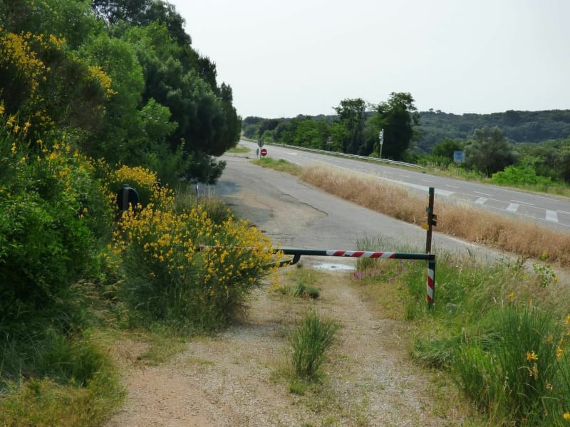 Le Mont Bouquet depuis Seynes - Seynes