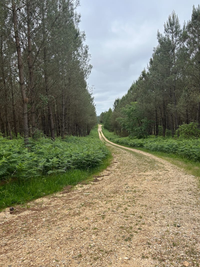 Vtt Saint-Léon-sur-Isle - Saint-Léon-sur-l'Isle
