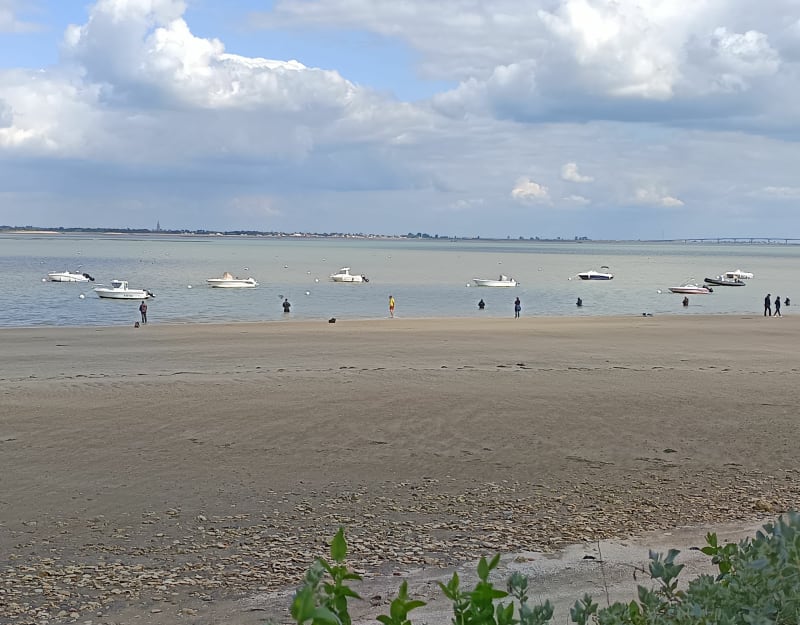 Dolus route de la plage vers Grand village plage - Dolus-d'Oléron