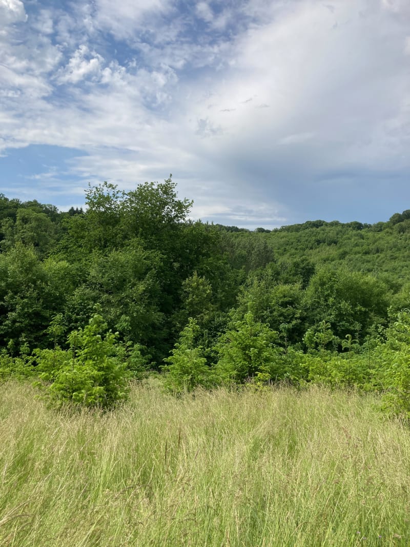 Balade ardennaise sur les pas du sergent York - Chatel-Chéhéry