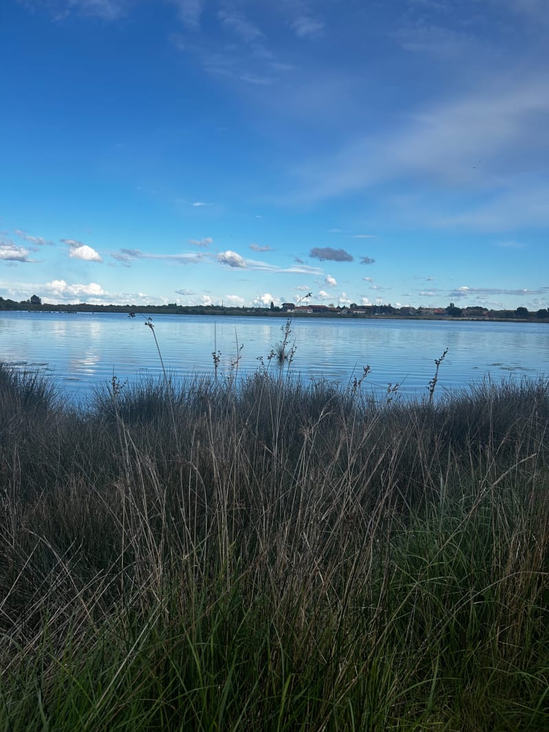 Près d Arcachon - La Teste-de-Buch