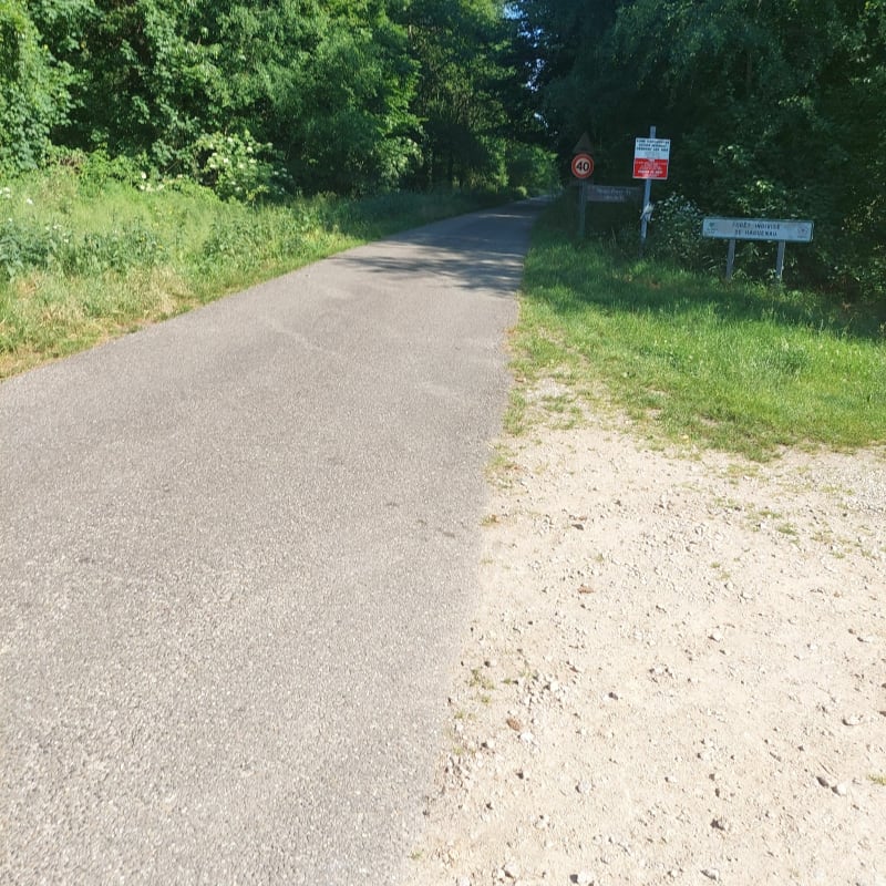 VTT - Boucle - Schirrhoffen