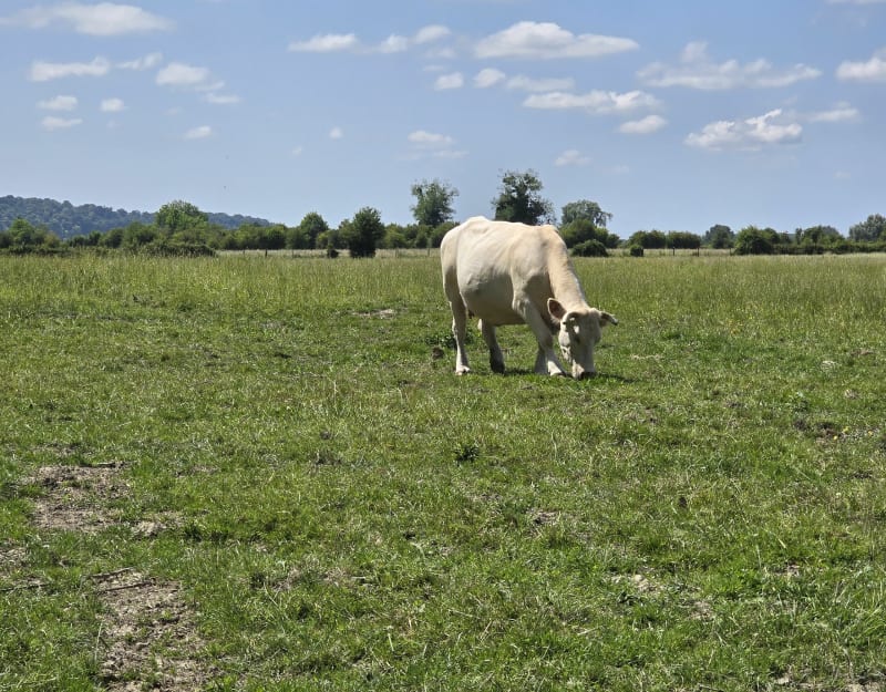 Marais Vernier - Quillebeuf-sur-Seine
