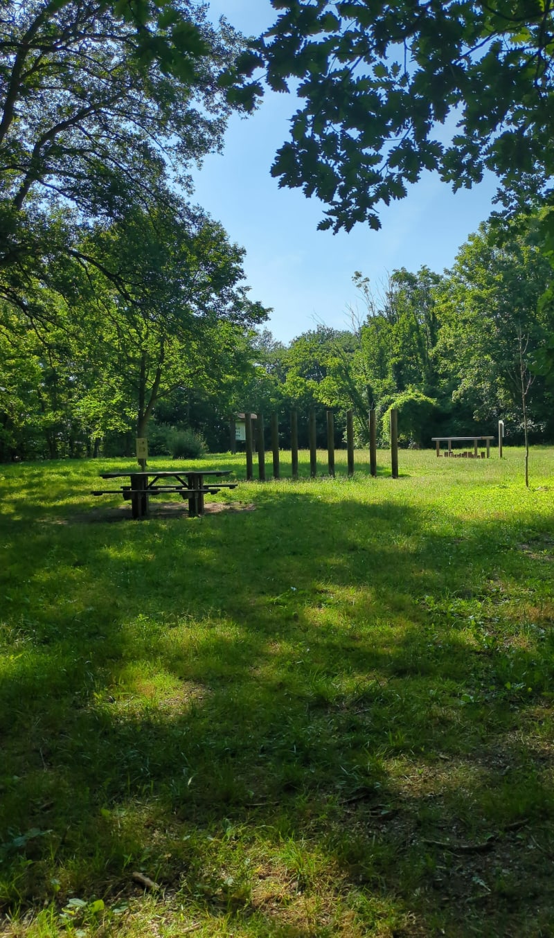 Balade entre forêt et Haras - Évreux