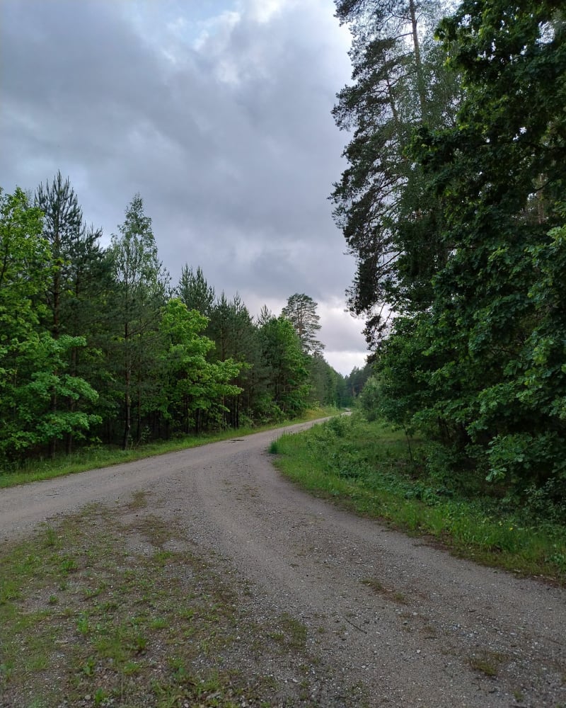 Leśna wycieczka pod Olsztyn - Olsztyn