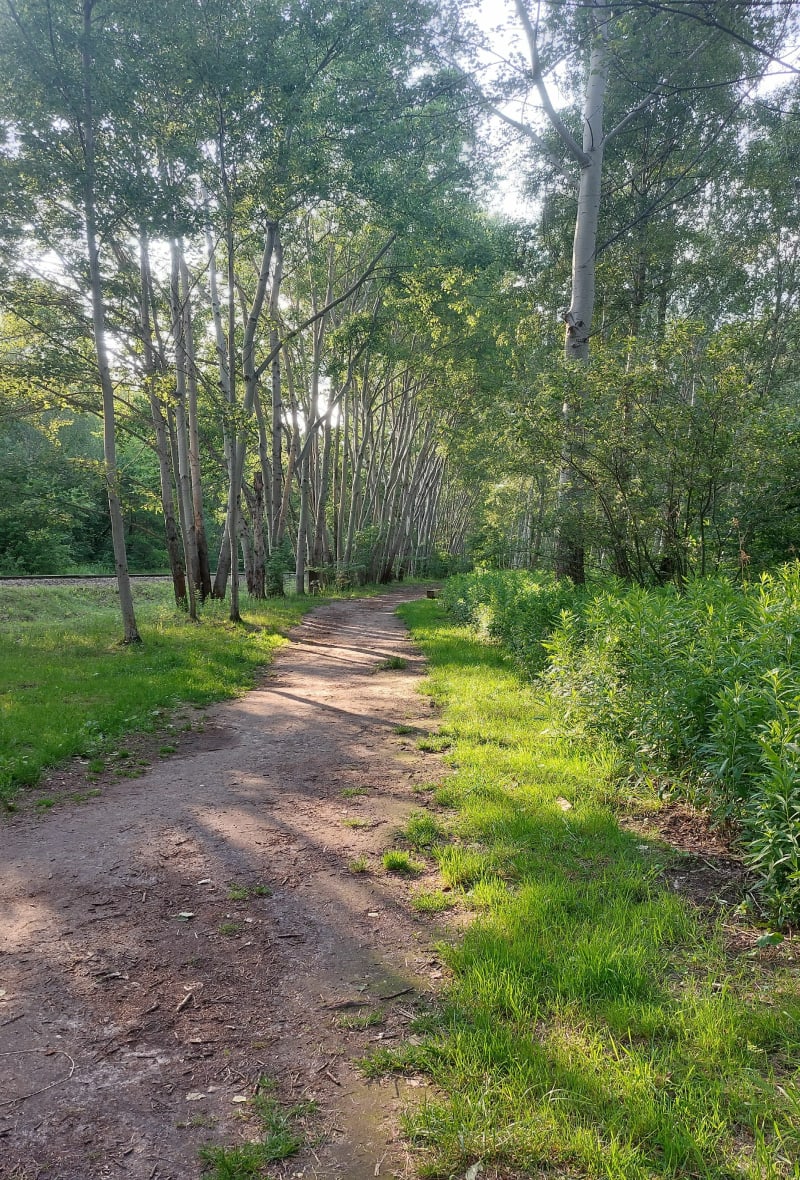 Park Cichociemnych - Warszawa