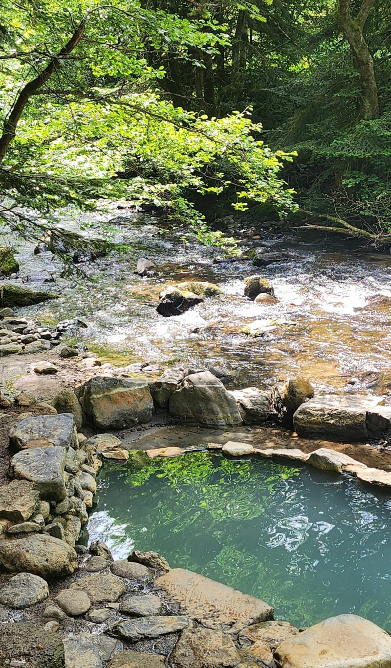 Sentier des sources chaudes et Mont Dore - Mont-Dore